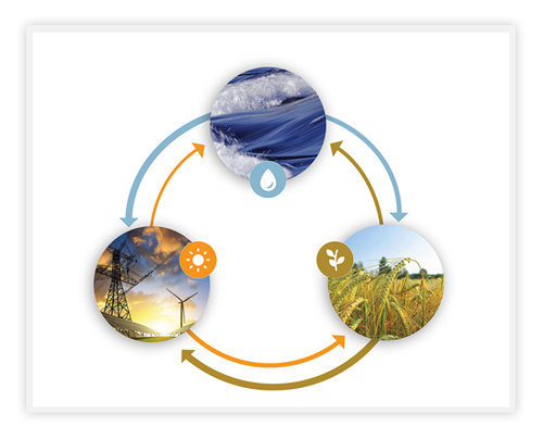 Water-Energy-Food Nexus Research