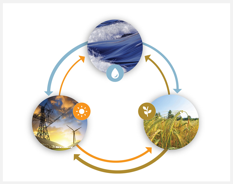 The Water-Energy-Food Nexus logo