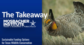 The Takeaway: Sustainable Funding Options for Texas Wildlife Conservation