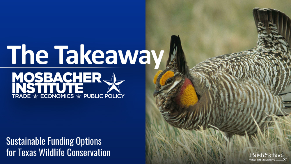 The Takeaway: Sustainable Funding Options for Texas Wildlife Conservation