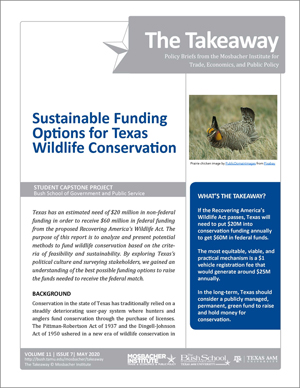 Sustainable Funding Options for Texas Wildlife Conservation