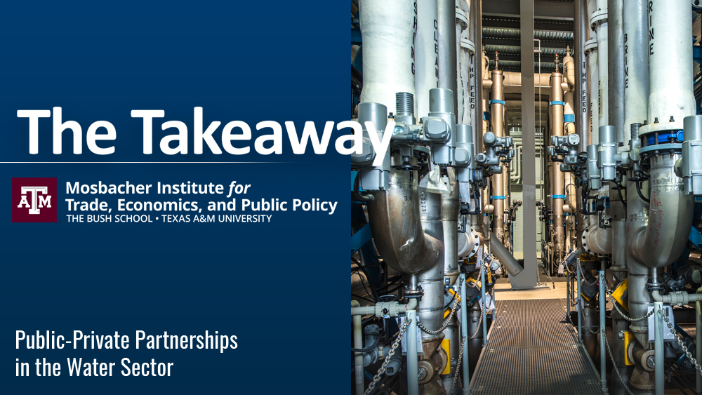 The Takeaway | Public-Private Partnerships in the Water Sector