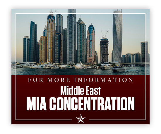 Middle East Concentration