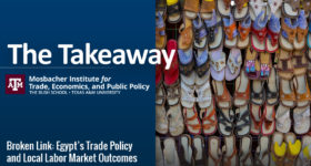 The Takeaway - Broken Link: Egypt’s Trade Policy and Local Labor Market Outcomes