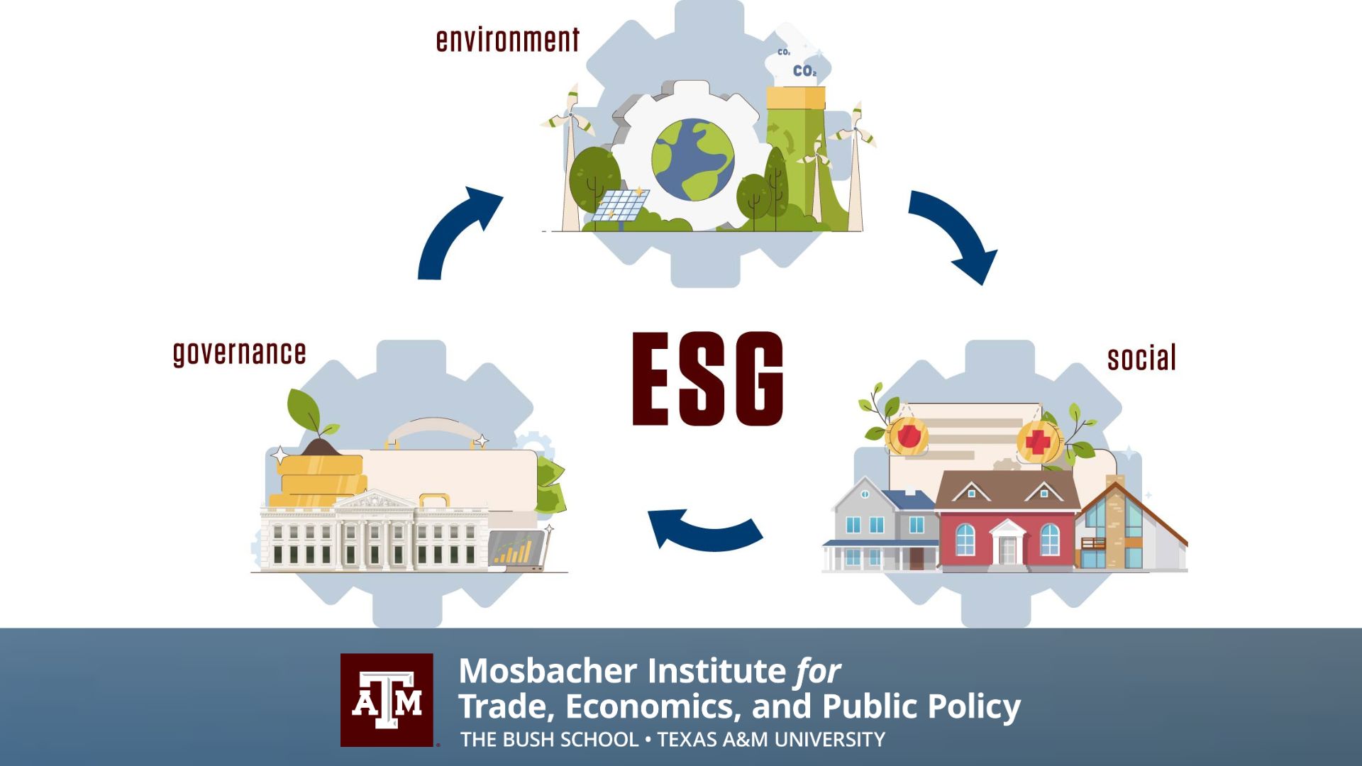 The Challenges and Opportunities of Environmental, Social, and Governance (ESG) Risk Factors and Green Bonds in Public Finance