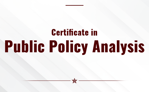 Certificate in Public Policy Analysis