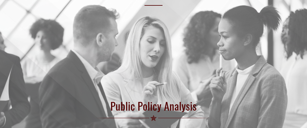 Public Policy Analysis
